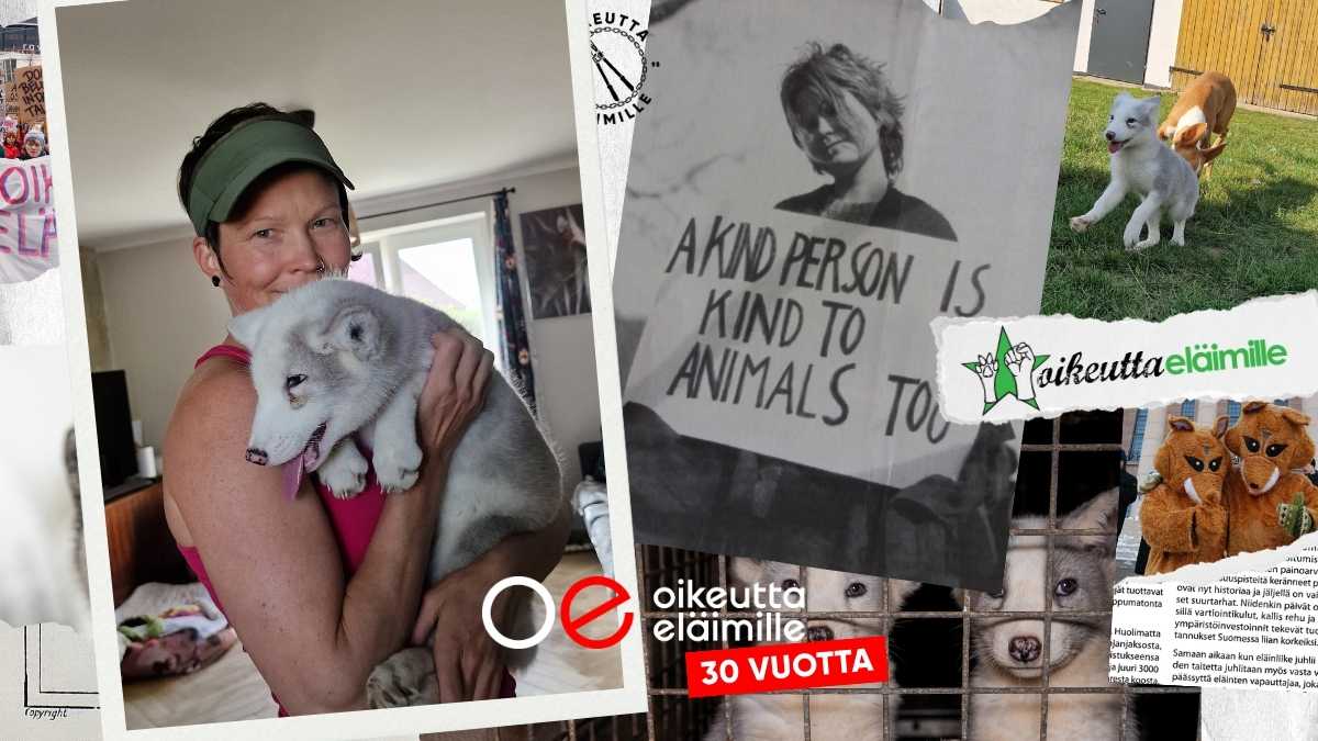Kollaasissa Mia, Filo ja toimintaa eläinten puolesta jo 30 vuotta!