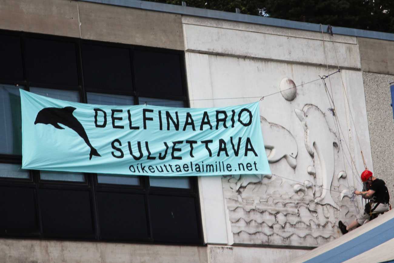 Banderolli jossa lukee "Delfinaario suljettava" ripustettu deflinaarion seinälle.