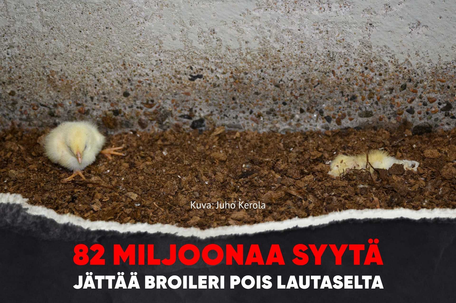 Kuva: Juho Kerola. Kuvassa kaksi tipua, toinen makaa kuolleena, toinen ontuu. Kuvan päällä teksti: 82 miljoonaa syytä jättää broileri pois lautaselta.
