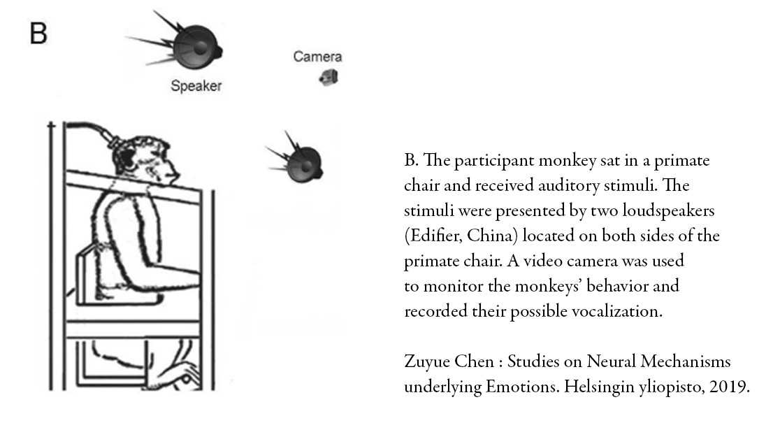 Kuvakaappaus väitöskirjasta, kuvassa tuoliin lukittu apina ja sen yläpuolella kuvat kaiuttimista ja kamerasta. Vieressä asetelmaa kuvaava teksti englanniksi.